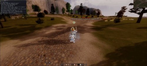 Fast Gameplay